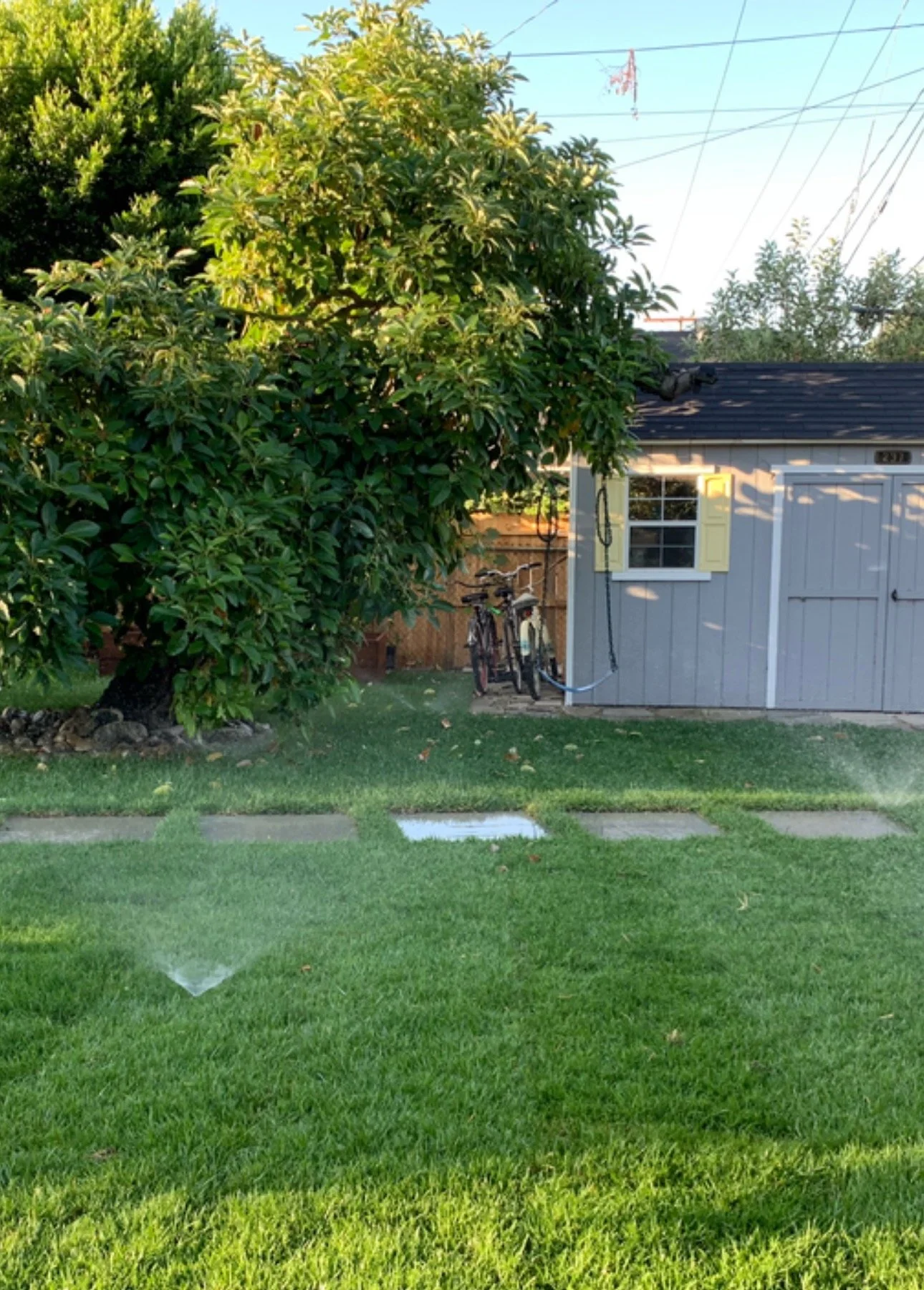 Smart Sprinklers: Saving Water and Keeping Your Lawn Lush